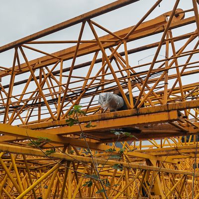 6010-8 Used ZOOMLION Tower Crane 6Ton Lifting Old Building Site Crane