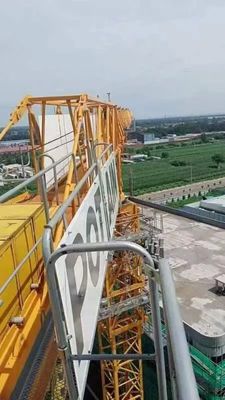 Usaed Reliable Zoomlion Wa6013-8A Tower Crane with Professional Inspection and Maintenance