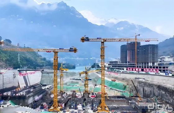 Hot Sell Zoomlion The Second Used Walking Cranes Building Tower Crane Qtz100 4510 6t with CE
