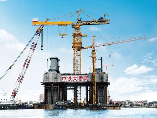 Zoomlion 10 Tons Hammerhead Tower Crane Tc7013-10 Used Cranes for Sale in Dubai