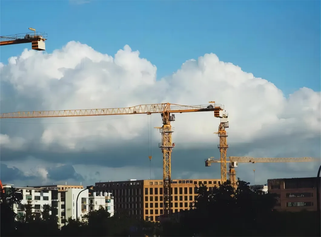 Used Zoomlion Ht63 50m 5013 6t Tower Crane with CE Certification 2
